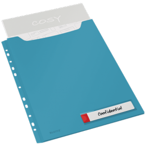 Punched Pocket Privacy File