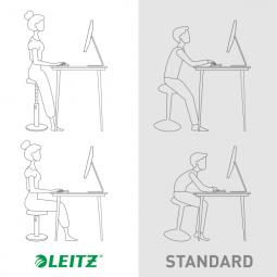 Leitz Ergo Cosy Active Sit Stand Stool 2 in1 Velvet Grey