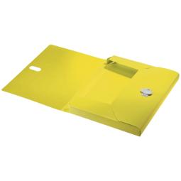 Leitz Recycle Box File Yellow Pack of 5