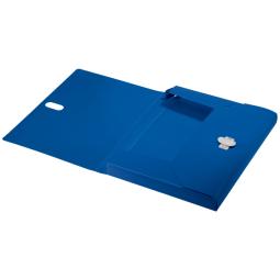 Leitz Recycle Box File Blue Pack of 5