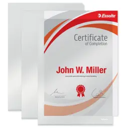 Esselte Heavy Duty Folder