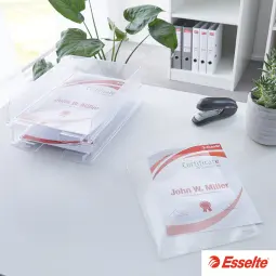 Esselte Heavy Duty Folder