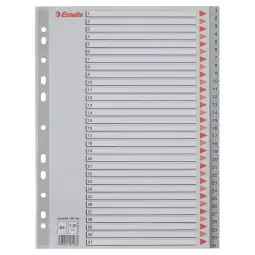 Esselte Index, PP, A4 - Outer carton of 10