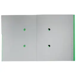 Leitz Recycle Card Divider Book, Green - Outer carton of 4