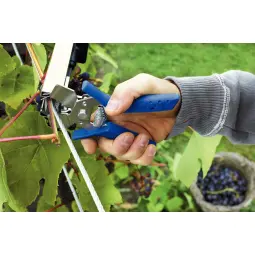 Rapid C85 Vine Hogrings