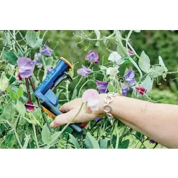 Rapid VR38 Garden Hogrings
