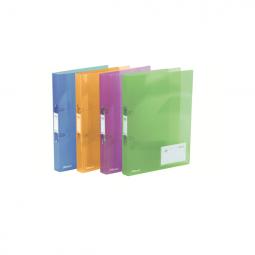 Rexel A4 Ring Binder Assorted Colours 25mm 2 O-Ring Diameter Ice Pack of 10