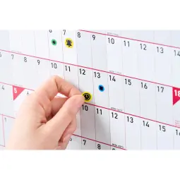 Sasco 2026/27 Academic Year Wall Planner with wet wipe pen & sticker pack, Purple, Board Mounted - Outer carton of 10